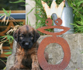 Prinzessin oder Knigin? 