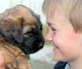 Welpen machen Freude...