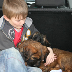 Unser Sohn mit den Welpen im Auto