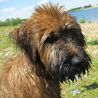 Bin ich nicht süß? Bin ich nicht süß?