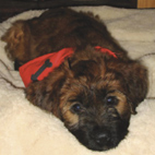 Aiko hat es gemütlich Aiko hat es gemütlich