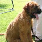 Aiko inzwischen 5 Monate alt