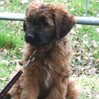 Aiko mit 3 Monaten Aiko mit 3 Monaten