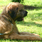 Diego , 5 Monate alt Diego , 5 Monate alt