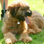 Diego, 5 Monate alt Diego, 5 Monate alt