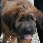 Diego mit 3 Monaten Diego mit 3 Monaten