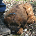 Carlos, 3 Monate alt Carlos, 3 Monate alt