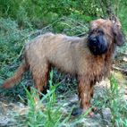 Carlos mit 5 Monaten Carlos mit 5 Monaten