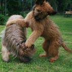 Anou dreht auf... Anou dreht auf...