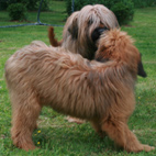 Na, noch Lust zum spielen?