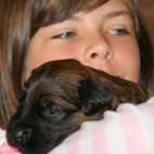 Black Star ganz verschmust