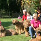 Carreau, Anou, Avan, Alf Carreau, Anou, Avan, Alf