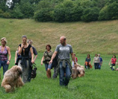 Eintracht bei den Hunden