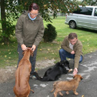 Mini-Mouse, die 3. im Bunde