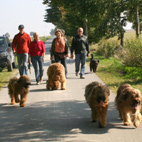 Spaziergang nach Eringerfeld