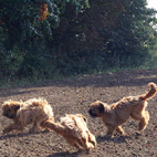 Toben wie früher... Toben wie früher...