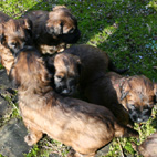 Draussen ist es noch unheimlich