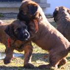 Madame orange zeigt dem kleinen Mann, wo es langgeht...