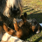 Mama Carreau hat immer recht