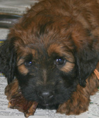 Madame orange mchte den Kaustreifen behalten