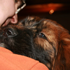 Letztes Kuscheln m. Monty jun.