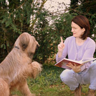 Carreau zeigt, wie man lernt
