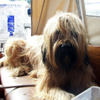 Awan im Sommerurlaub 2009 Awan im Sommerurlaub 2009