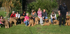 8 Briards vom Janischhof