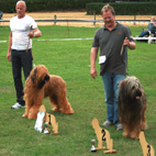 Platz 2 fr Rolf und Monty