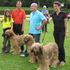 Erfolgreiche Zuchtgruppe