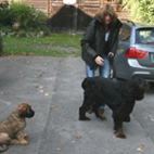 Frauchen mit Connor und Bosse