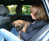 Ganz wie der Minister: Bosse mit Chauffeur