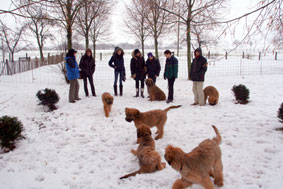 Welpentreff im tiefen Schnee