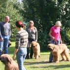 Training der Junghunde