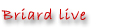 Briard Berichte
