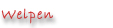 Welpen